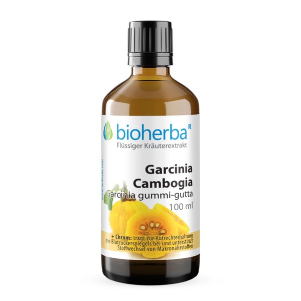 Garcinia Cambogia Extrakt Tropfen 100 ml