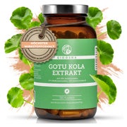 QIDOSHA Gotu-Kola-Extrakt 60:1 120 St