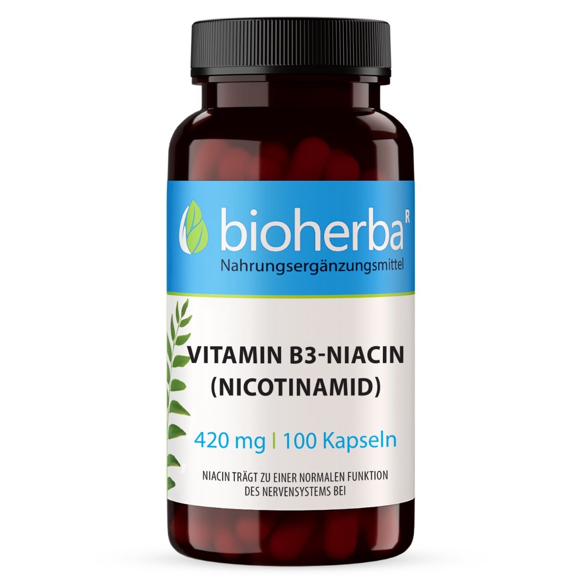 Vitamin B3 Niacin Niacinamid 420 Mg Kapseln 100 St