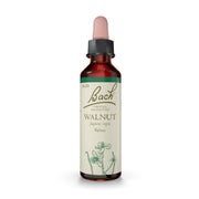 Bachblüten Original 33 Walnut Tropfen 10 ml