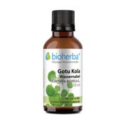 Bioherba Gotu Kola Wassernabel Tropfen Tinktur 50 ml