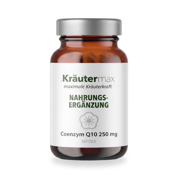Coenzym Q10 250 Mg Kapseln 60 St