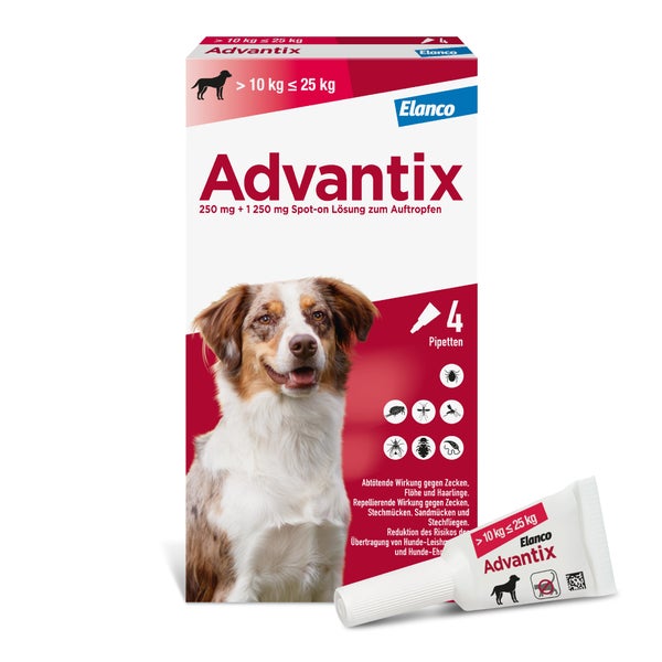 Advantix Spot-On 250 10-25 kg 4 St