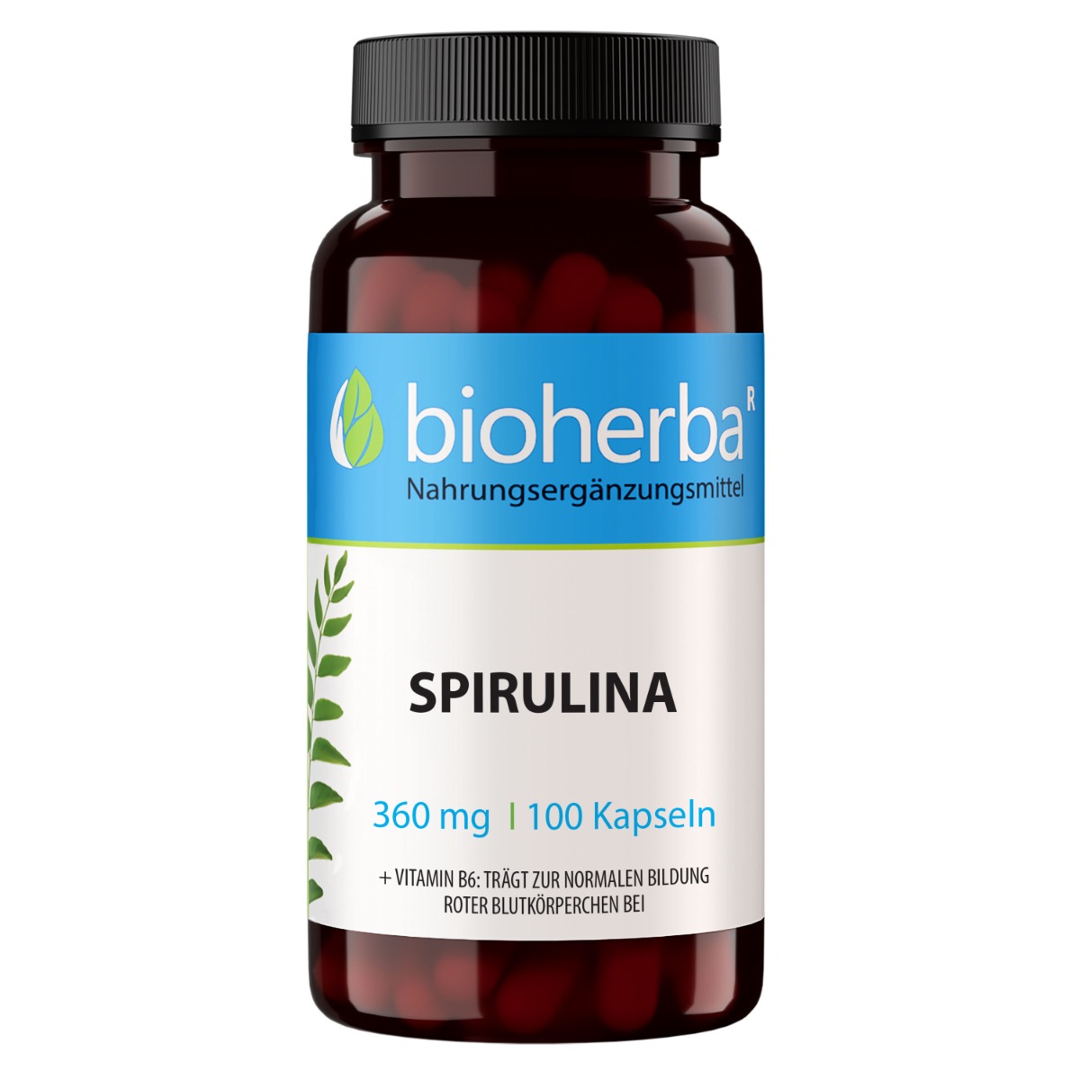 Bioherba Spirulina Kapseln 100 St