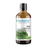 Bioherba Kale Grün-Kohl Brassica oleracea L.  Tropfen Tinktur 100 ml