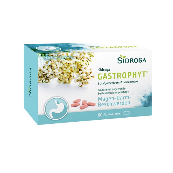 Sidroga Gastrophyt 250 mg Filmtabletten 60 St