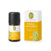 Seelenstreichler Kraftkonzentrat Bio 5 ml
