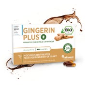 Stärkste Bio Ingwer-Extrakt Kapseln – Gingerin PLUS® 60 St