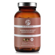 Produktabbildung: Agaricus Blazei (mandelpilz) Extrakt 500 Mg/kapsel 120 St