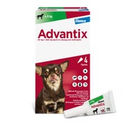 Advantix 40 Hund 4 St