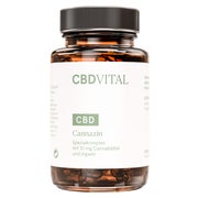CBD VITAL Cannazin Kapseln mit Ingwer & CBD fürs Immunsystem 60 St