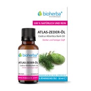 Atlas-zeder-Öl 10 ml