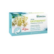 Sidroga Gastrophyt 250 mg Filmtabletten 30 St