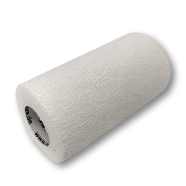 Lisacare Pflasterverband 10cmx4.5m Weiß 1 St