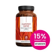 Kurkuma Weihrauch Komplex mit Ingwer und Zimt - Ayurveda Kur - FLAMMENGARDE - 90 vegane Kapseln - NATURTREU® 90 St