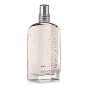 L'Occitane, Kirschblüte EdT Splash 75 ml