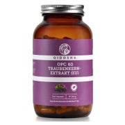 Produktabbildung: Opc 40 Traubenkernextrakt 400 Mg/kapsel 240 St