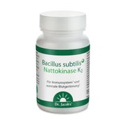Produktabbildung: Bacillus subtilis plus Nattokinase-Enzym+Vitamin K2 vegan 60 St
