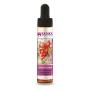 Bioherba 100 % Natürliches Hagebuttenöl aus Bulgarien 20 ml