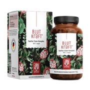 Eisen Komplex mit Fenchel, Vitamin C & Cofaktoren - BLUTKRAFT - 120 vegane Kapseln - NATURTREU® 120 St