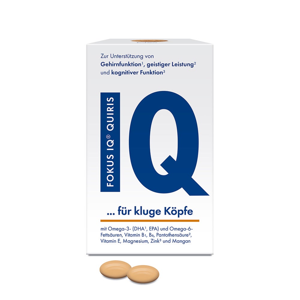 Fokus IQ Quiris 120 St