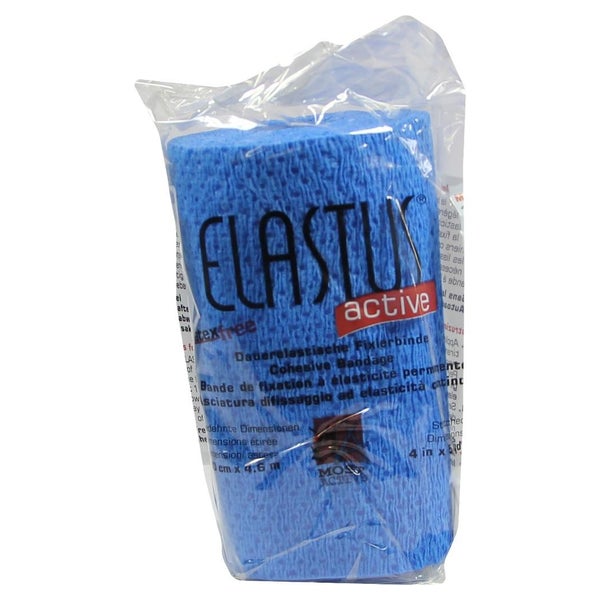 Elastus Active Bandage 10 cmx4,6 m 1 St