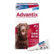 Produktabbildung: Advantix Spot-On 400Hunde bis 40 kg 4X4,0 ml