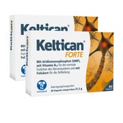 Produktabbildung: Keltican Forte 2X80 St