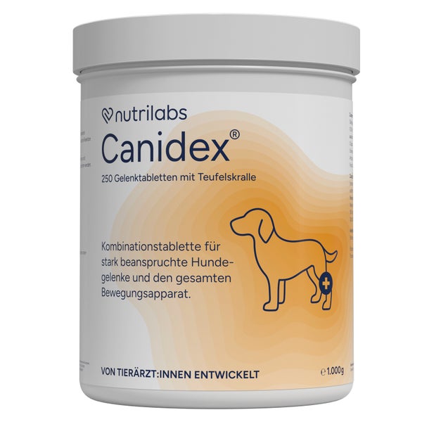CANIDEX 250 St