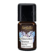 Farfalla Arabische Minze (Nanaminze) bio