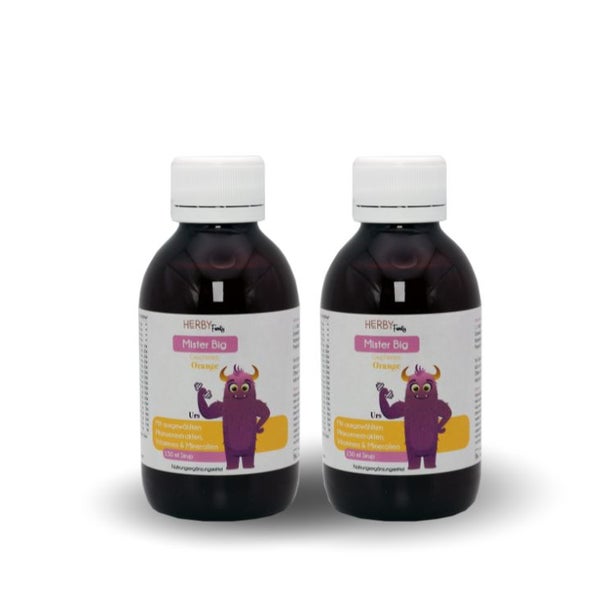 Herby Family Mister Big Doppelpack 2 Fl
