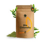 Alvimare Bio Chlorella Pulver 250g, naturrein & ohne Zusätze 250 g