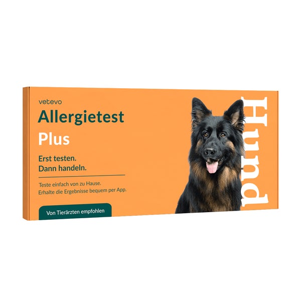 Allergietest Plus Hund 1 St