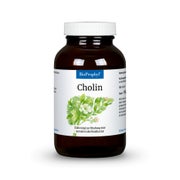 BioProphyl Cholin Kapseln 120 St