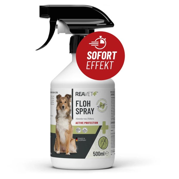 Floh Spray - ReaVET 500 ml