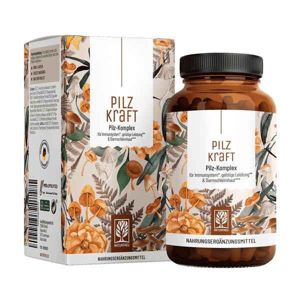 Pilz Komplex mit Chaga, Reishi, Shiitake, Hericium & B Vitaminen - PILZKRAFT - 120 vegane Kapseln - NATURTREU® 120 St