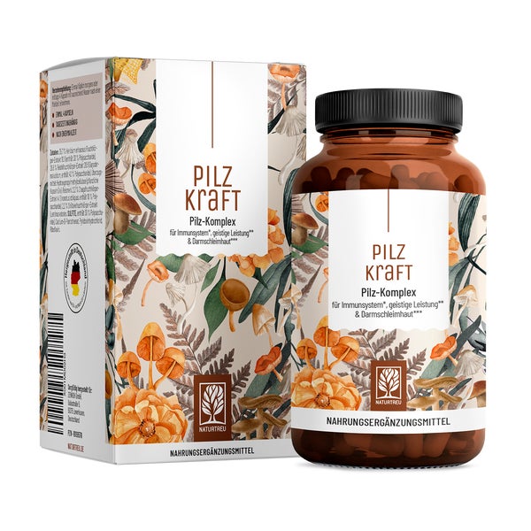 Pilz Komplex mit Chaga, Reishi, Shiitake, Hericium & B Vitaminen - PILZKRAFT - 120 vegane Kapseln - NATURTREU® 120 St