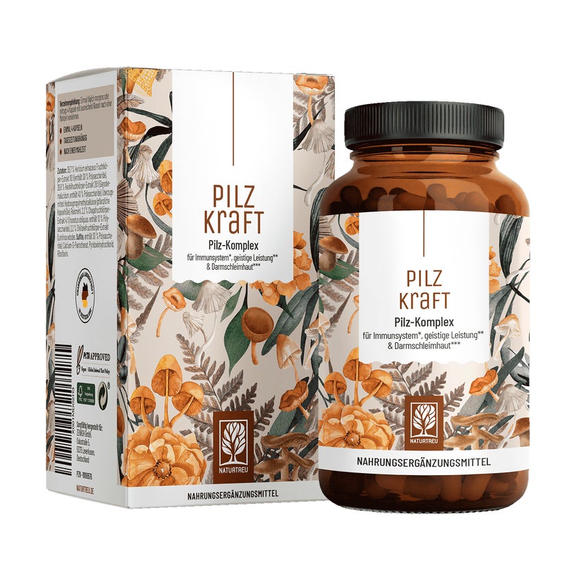 Pilz Komplex mit Chaga, Reishi, Shiitake, Hericium & B Vitaminen - PILZKRAFT - 120 vegane Kapseln - NATURTREU® 120 St