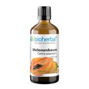 Melonenbaum Carica Papaya Extrakt Tropfen 100 ml