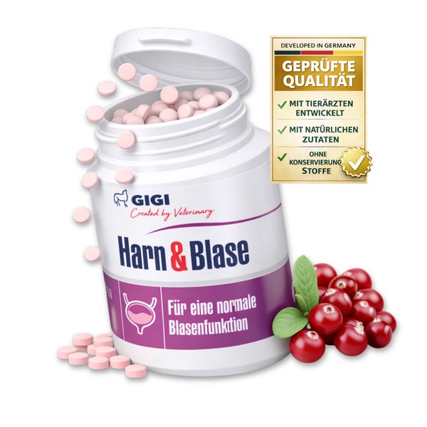 GIGI VET Harn & Blase 28 St