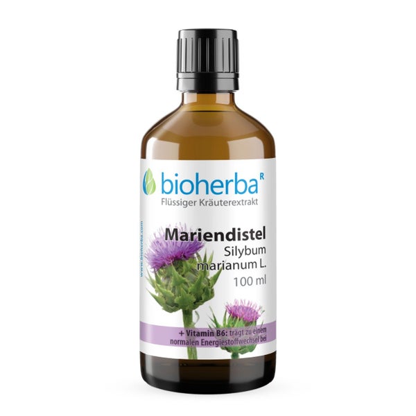 Mariendistel Extrakt Tropfen 100 ml