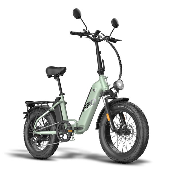 Fafrees FF20 Polar Falt-E-Bike, Doppelakku 24 Ah 1 St