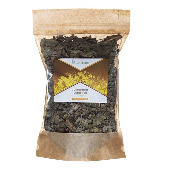 Alchornea cordifolia Blätter, geschnitten (100g) 100 g