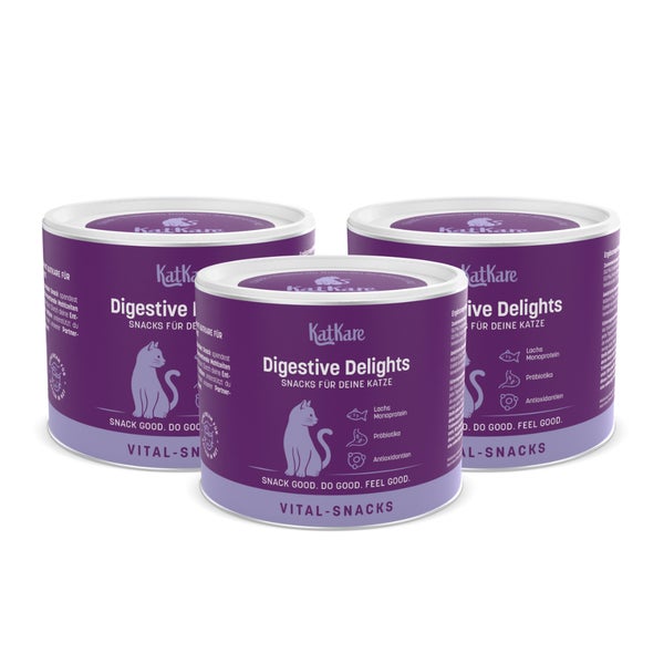 Digestive Delights 3 x- Snack für die Gesunde Verdauung 400 St