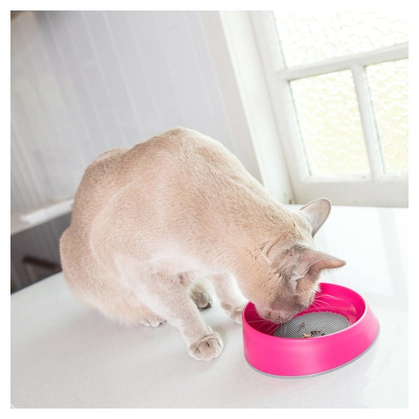 LickiMat OH Bowl - Schlecknapf für Katzen - pink 1 St