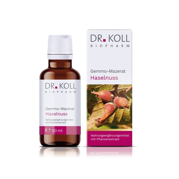 Gemmo-mazerat Haselnuss Dr.koll Corylus Avell.tro. 50 ml