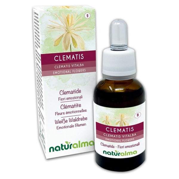 Naturalma Weiße Waldrebe Clematis vitalba Tropfen 30 ml