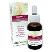 Naturalma Weiße Waldrebe Clematis vitalba Tropfen 30 ml