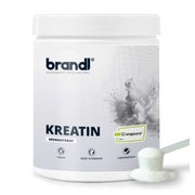 brandl® Kreatin CREAPURE Creatin Monohydrat Pulver | Premium Rohstoff extern laborgeprüft 500 g