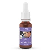 Lemon Pharma N°41 Bachblüten Tropfen Focus, 20 ml 20 ml